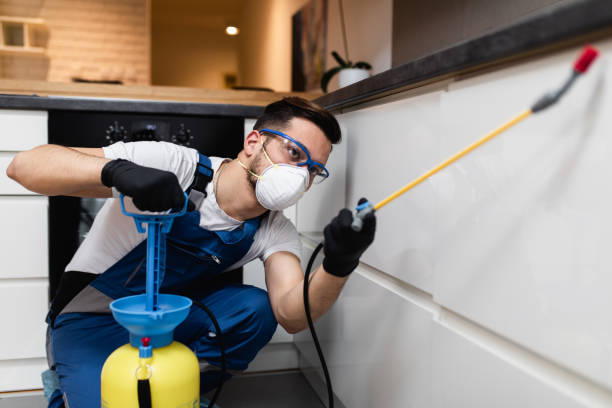 Best Insect Control  in Thornton, CO