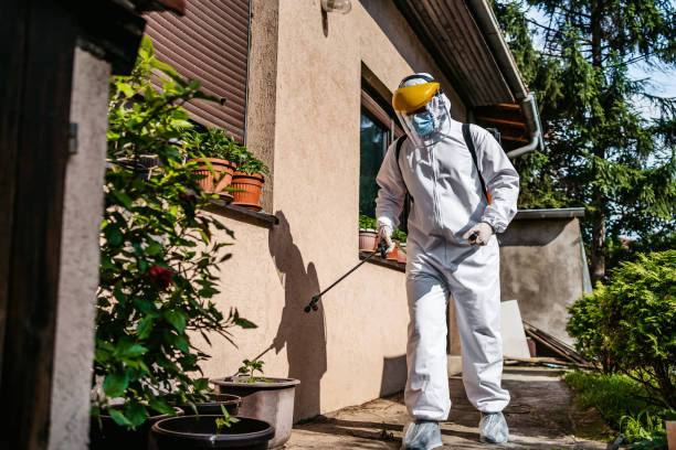 Best Affordable Pest Control Services  in Thornton, CO