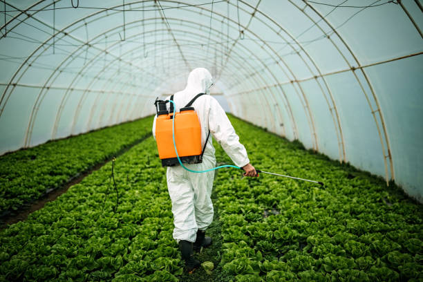 Best Pest Control Near Me  in Thornton, CO