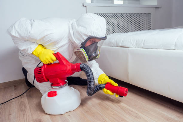 Best Pest Removal Services  in Thornton, CO