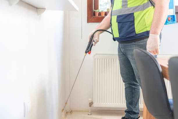 Best Pest Inspection Near Me  in Thornton, CO