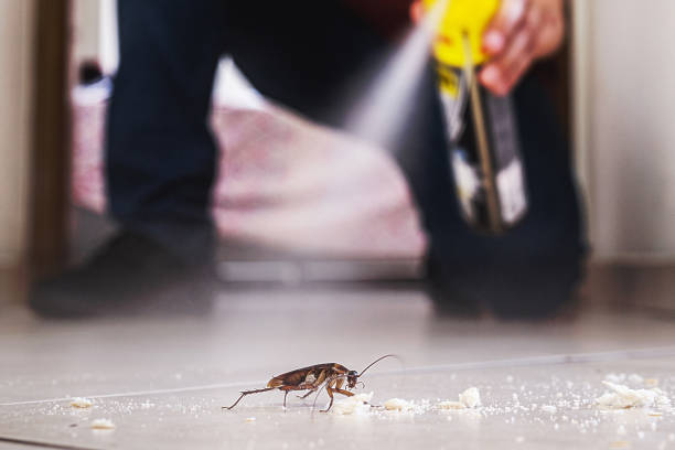 Best Residential Pest Control  in Thornton, CO